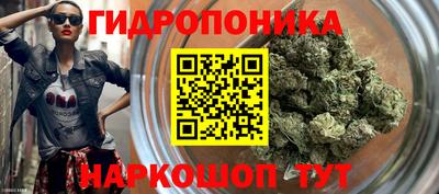 бошки Кинель