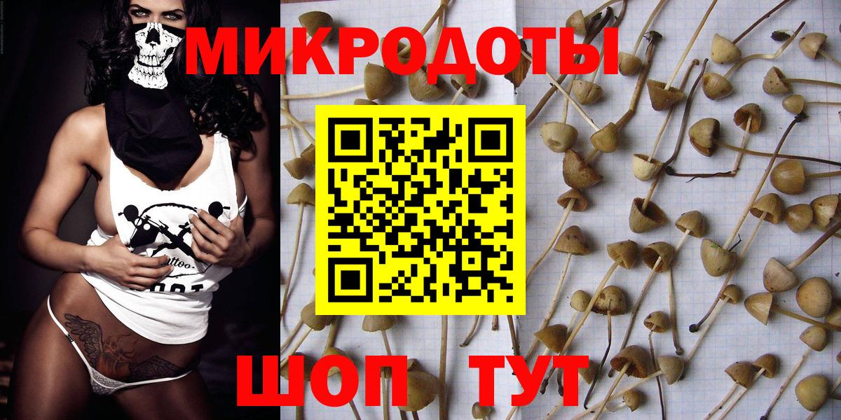 Галлюциногенные грибы Psilocybine cubensis  Вход с VPN  купить  сайты  Гудермес  Галлюциногенные грибы Magic Shrooms 