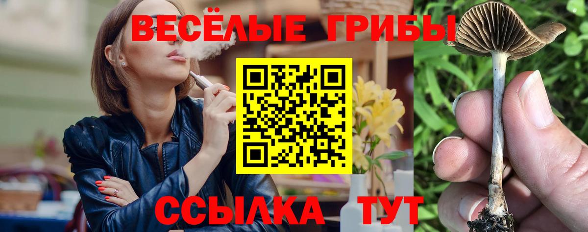Псилоцибиновые грибы прущие грибы Гудермес